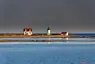 Goat Island Light Station