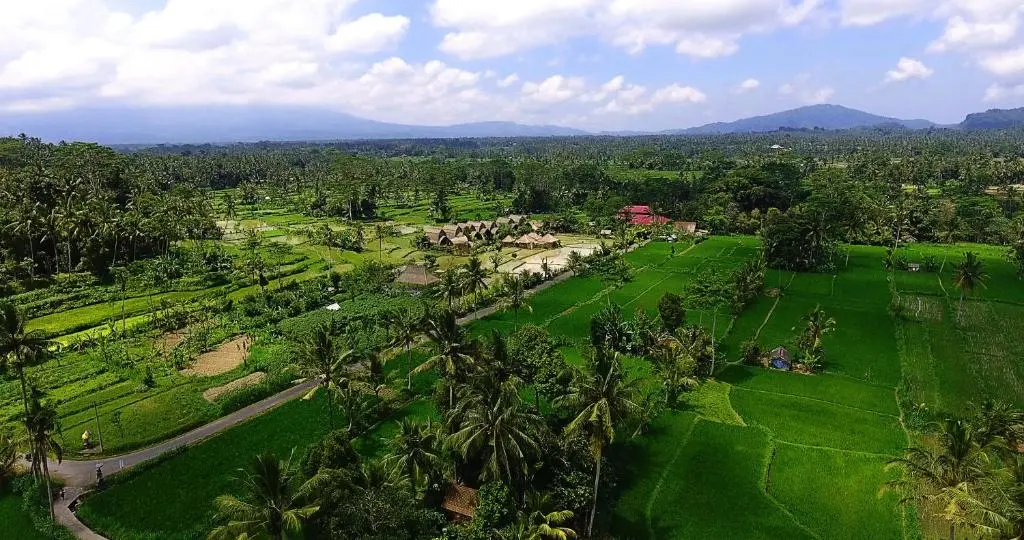 De Klumpu Bali