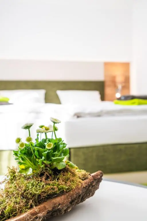 Hotelpension Treppengasse