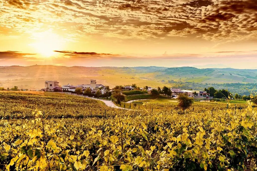 Zornitza Family Estate