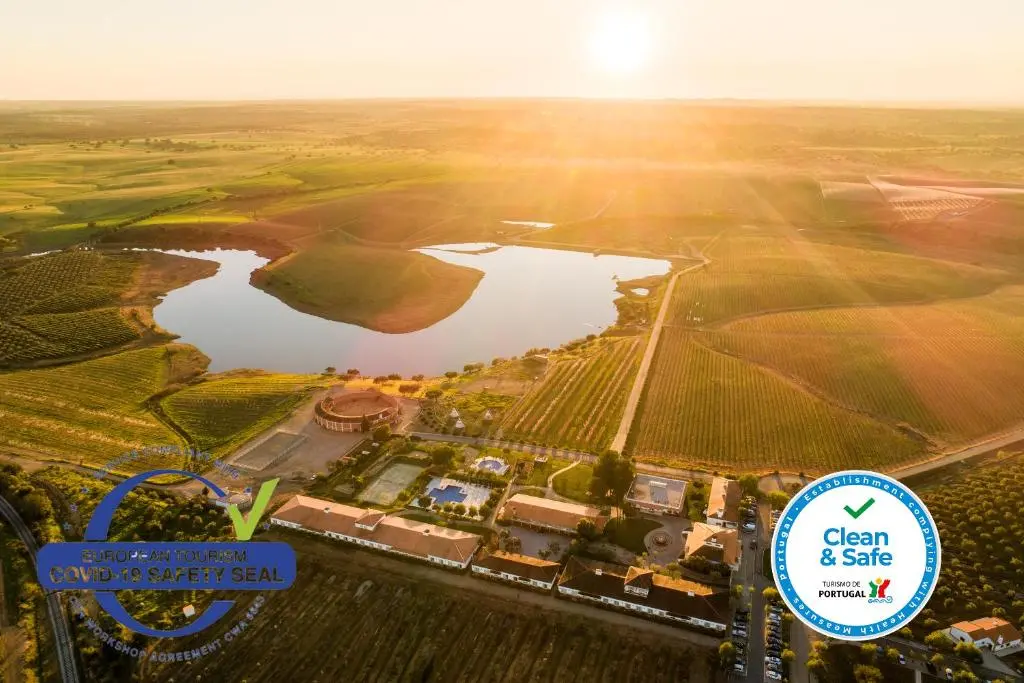 Vila Gale Alentejo Vineyard