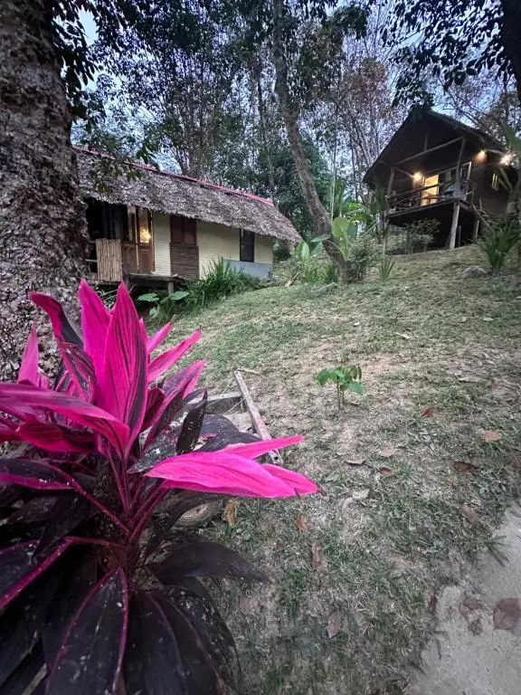 Koh Mook Mountain View