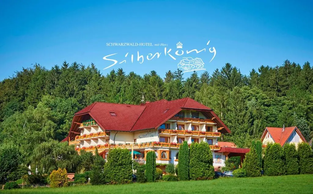 Silberkönig