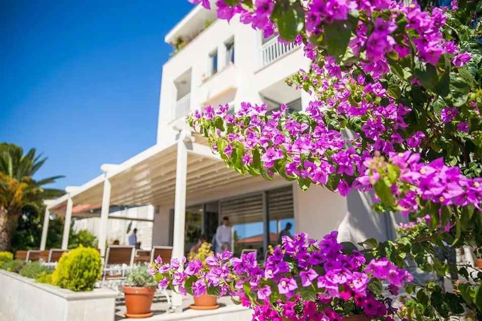 Hotel Casa del Mare Blanche