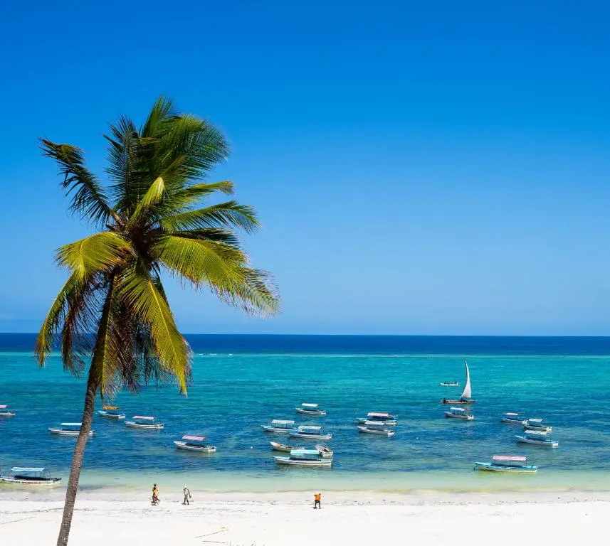 Alladin Boutique Beach Hotel & Spa