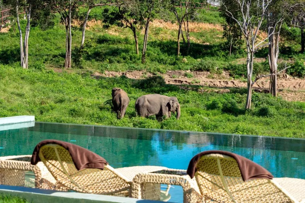 Wild Cottages Elephant Sanctuary Resort