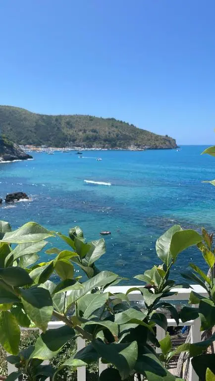 Hotel Ficocella