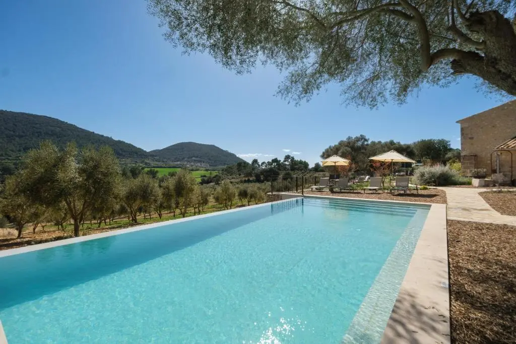 Finca Treurer (Olive Grove & Grand House)