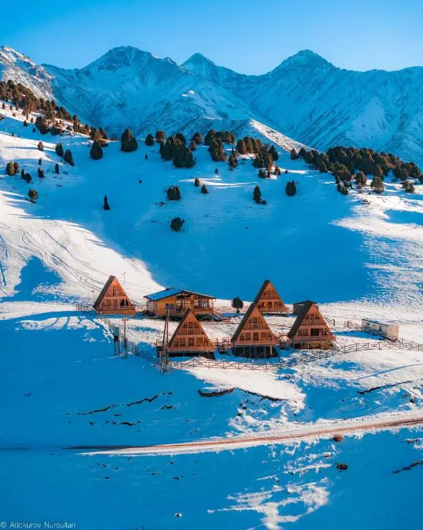 Alto Cabins