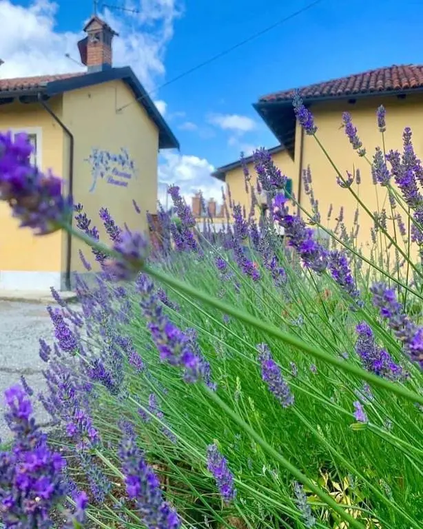 Cascina Domina