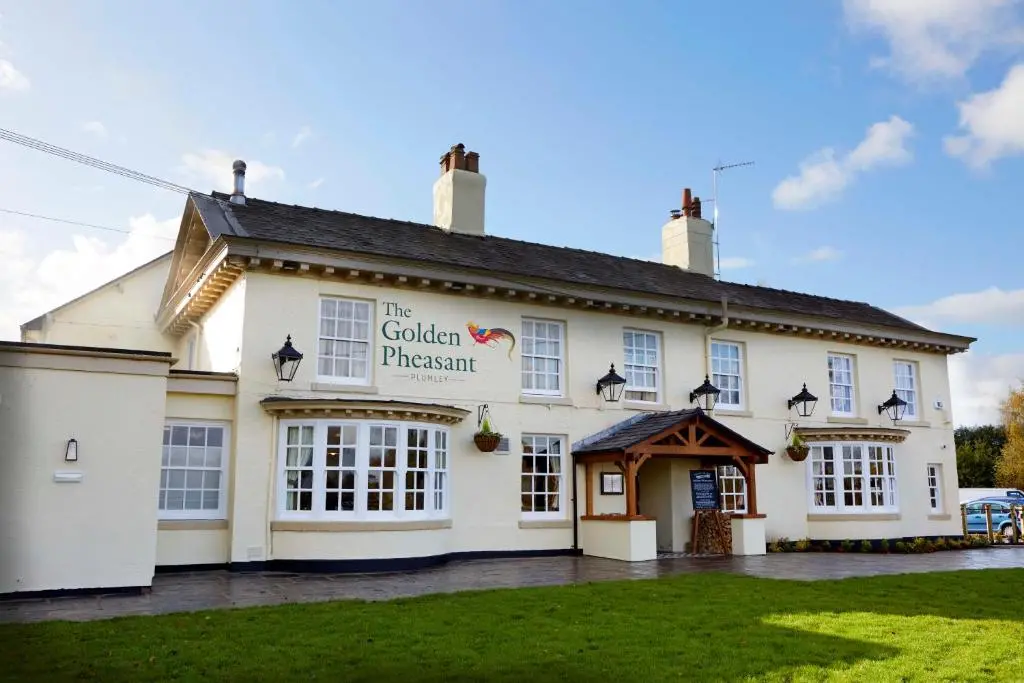 The Golden Pheasant