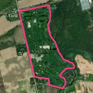 Century Pines Golf Course