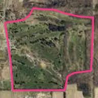 Winged Pheasant / The Pheasant & Liberator Courses Winged Pheasant / The Pheasant & Liberator Courses