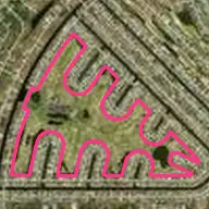 The Palms The Palms