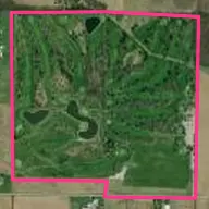 Sycamore Springs