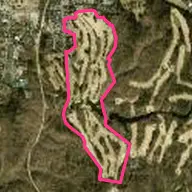 Golden Horseshoe Golf Club Gold Course