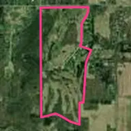 Branson Bay Golf Course