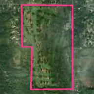Pebblewood Golf Course