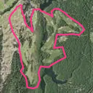 Bandon Trails