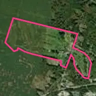 Candia Woods