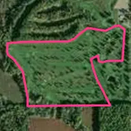 Pines Course