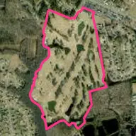 The Pines