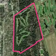 Golf Club Tirrenia Golf Club Tirrenia