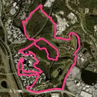 Disney's Lake Buena Vista Golf