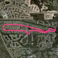 The Evergreen Club