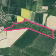 Hamelner Golfclub