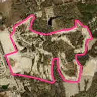 Bayonet at Puppy Creek