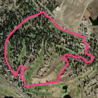 Ponderosa Ponderosa