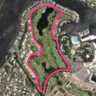 Palms Course Palms Course