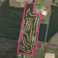 Morwell Golf Club Morwell Golf Club