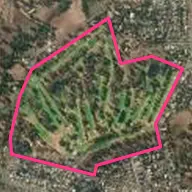 Young Golf Club Young Golf Club