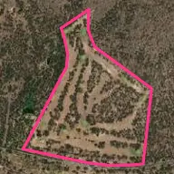 Ravenshoe Millstream Country Club Ravenshoe Millstream Country Club