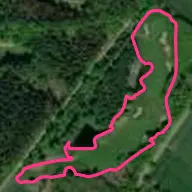 Im Grünenmoor