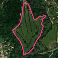 Campo de Golf Tela