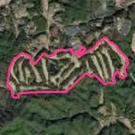 大分カントリークラブ月形コース (Oita C.C. Tsukigata Course) 大分カントリークラブ月形コース (Oita C.C. Tsukigata Course)