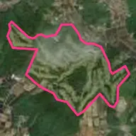Arrow Ace Golf Club