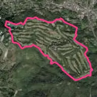葉山国際CC