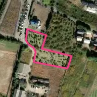 小林農園パターゴルフ場