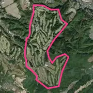 大津CC