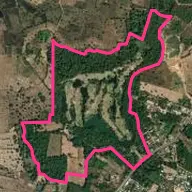 Sri Thani Golf Forest