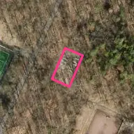Arena Arena