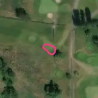 Tee12 Tee12