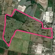 Eucalyptus Golf Club