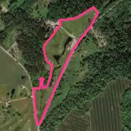 Golfa klubs Reinis Golfa klubs Reinis
