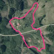 Kalnozoli