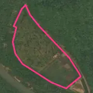 パークゴルフ場